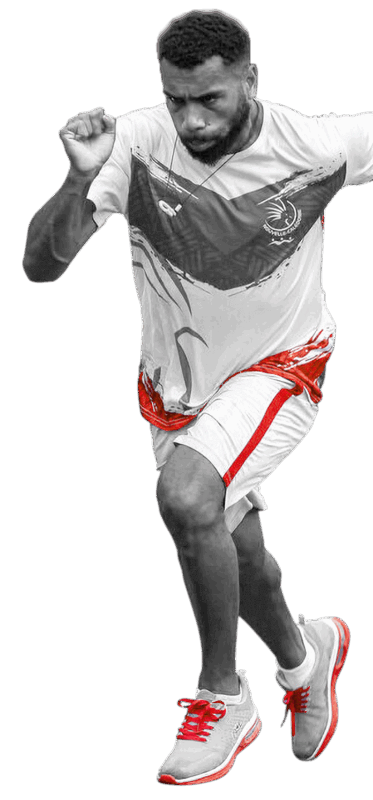 Image de la section les cagous du CTOS